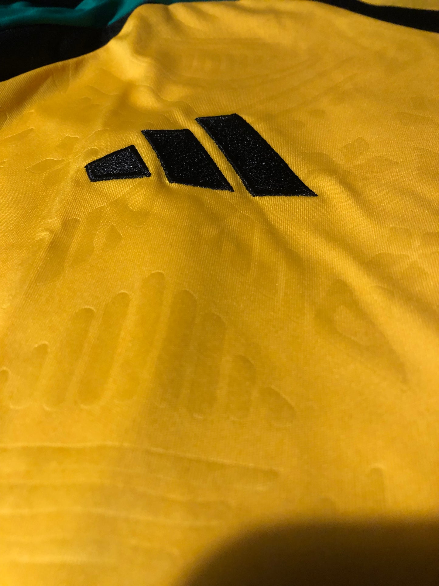 Jamaica 2024/25 Home jersey(L)