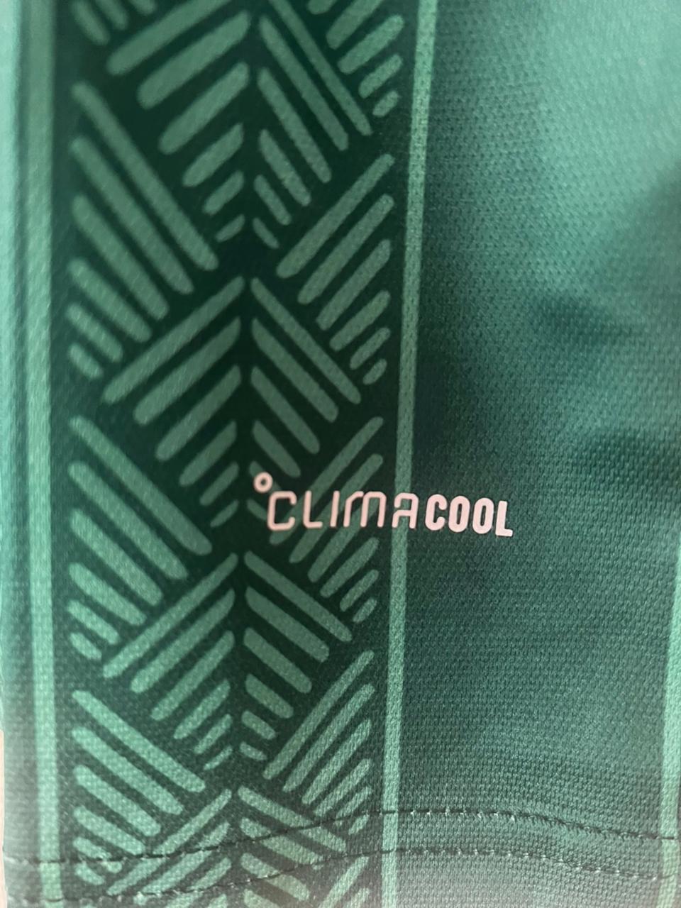 South Africa World Cup 2026 Away Jersey